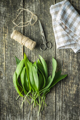 Sticker - Green ramsons leaves. Wild garlic.