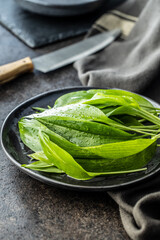 Sticker - Green ramsons leaves. Wild garlic on plate.