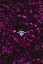 White Gold Engagement Ring With A Heart-shaped Diamond Lying Among  Dark Purple Lilac Flowers. An Elegant Floral Wedding Background.