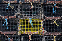 Crab And Lobster Traps
