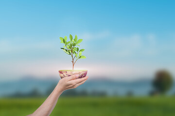 Canvas Print - saving earth concept. human hand holding globe with a tree over green nature background. elements of