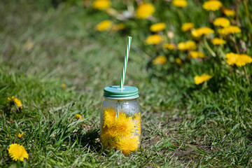 Wall Mural - Dandelion flowers in a smoothie jar. on the background of the grass summer concept