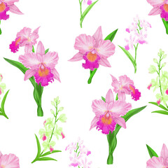 Pink Cattleya orchid flower blossom seamless pattern on white background, illustration