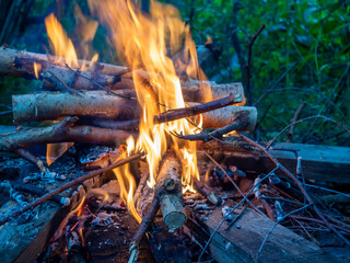 Image of flames, burning dry twigs. The concept of danger, respect for nature. Fires in the forest.