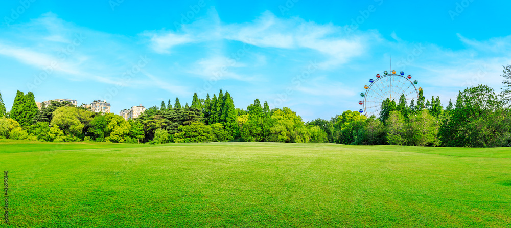 Green forest and ferris wheel with grass in the city park. - obrazy, fototapety, plakaty 