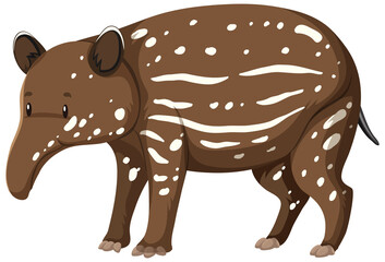 Canvas Print - Baby Tapir wild animal on white background