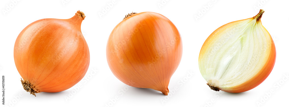 Onion bulbs isolated. Whole golden onion bulb and a half on white background. Onion set. Full depth of field. With clipping path. - obrazy, fototapety, plakaty 