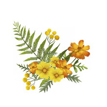 Hand Painted Realistic Floral Composition With Adorable Yellow And Orange Flowers Of Tickseed And Tansy With Green Fern Leaves. Botanic Composition For Wedding Or Greeting Card. Summer Bouquet.