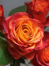Close-up Of An Orange Rose In A Bouquet.
