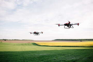 Agriculture drone fly to sprayed fertilizer on the green tea fields, Smart farm 4.0 concept