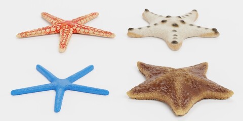 Wall Mural - Realistic 3D Render of Starfish Collection