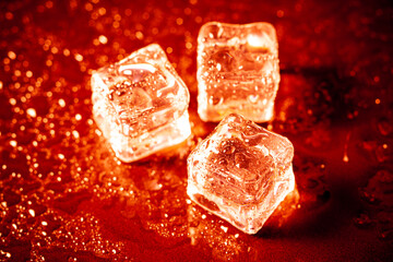 Wall Mural - Red ice cubes reflection on black table background.