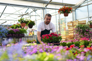 happy worker growing flowers in a greenhouse of a flower shop