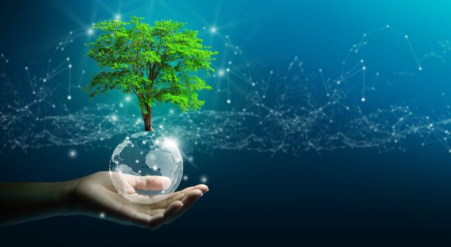 Wall Mural -  - Hand holding growing tree on crystal ball with technological convergence blue background. Innovative technology, Nature technology interaction, Environmental friendly, IT Ethics, and Ecosystem concept