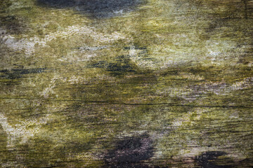 Wall Mural - Old woodeen texture for background. Close up.