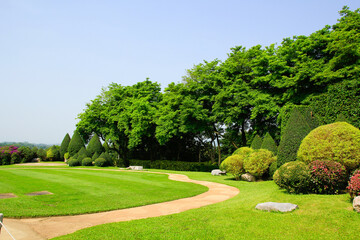 Wall Mural - trees in the park and grass field