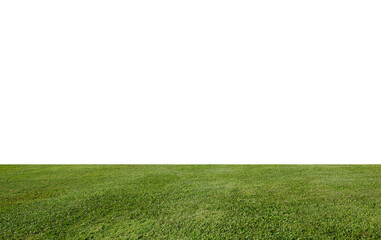 Sticker - green field with grass on white background.