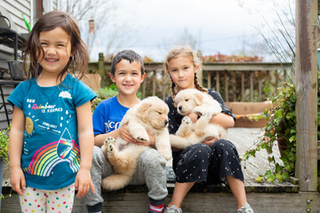 Wall Mural - Children Playing with Golden Retriever Puppies