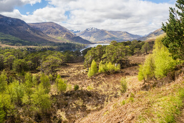 Wall Mural - The Affric Kintail Way is a fully signposted, superb cross-country route for walkers and mountain bikers stretching almost 44 miles from Drumnadrochit on Loch Ness to Morvich in Kintail by Loch Duich.