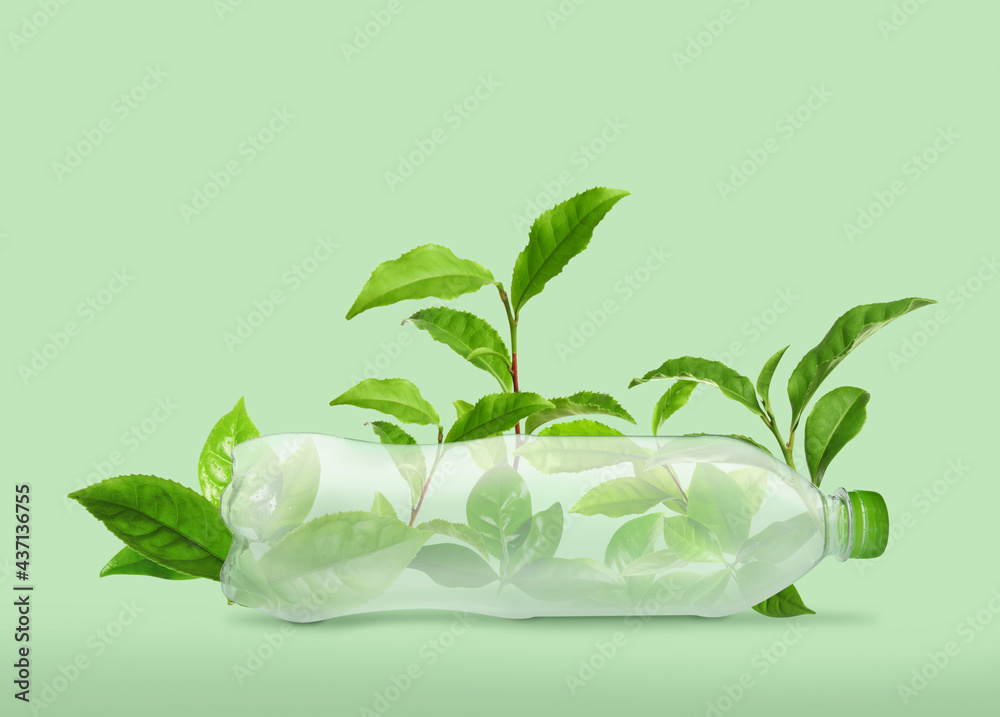 Bottle made of biodegradable plastic and leaves on green background - obrazy, fototapety, plakaty 