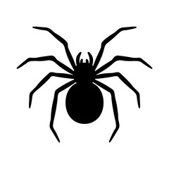 silhouette of a spider hanging from a web Abandoned House Horror Ideas for Halloween