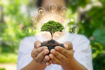 tree growing on soil in human hand and eco-friendly energy related icons earth day concept and energ