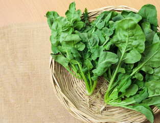 fresh green arugula isolated on white background. Organic vegetable