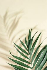 Poster - Natural green palm leaf with sun shade on light yellow. Summer minimal concept, beautiful daylight