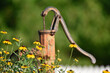 watering can water pump old