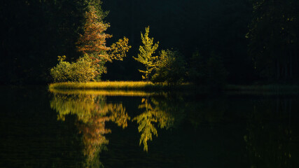 Symmetric nature scenery with backlit trees growing on a riverside. Reflection of a horizontal landscape in a calm water. Natural background with copy space.