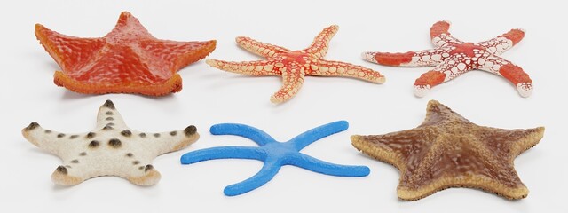 Wall Mural - Realistic 3D Render of Starfish Collection