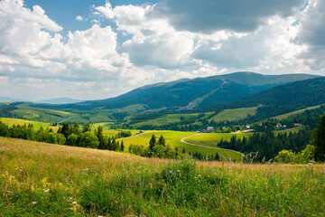 carpathian mountain rural landscape in summer. forest on the grassy meadow. fields and pastures on t