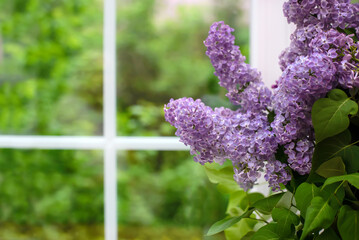 Poster - Bouquet of purple lilac on the window closeup