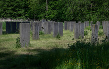 Abandoned Jewish Cemetry With Old Gravestones. Thombstones. Flevopark Amsterdam Netherlands. Ashkenazi Jews. Begraafplaats Zeeburg.