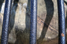 Close Up Of Old Worn Curved Iron Bars 