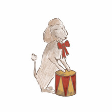 Drawn Poodle With A Red Bow Circus Dog With A Drum. Raster Illustration Drawn In Pencil