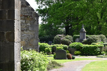 Canvas Print - MIttelalterliche Kirche in Probsthagen mit Friedhof