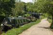 Two boats tied up by the towpath of the Leeds and Liverpool Canal near Hirst Lock in West Yorkshire