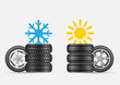 summer winter tires set
