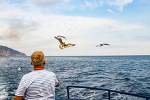 Feeding Seagulls From The Ship.