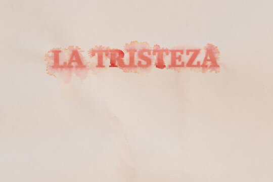 Type of the Spanish word 