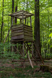 old wood stand in green spring forest
