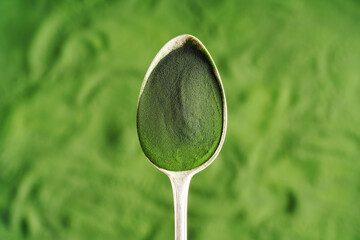 Chlorella algae powder on a metal spoon, with copy space