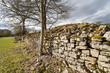 grunge stone wall and trees