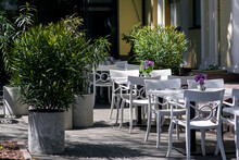Outdoor Cafe Terrace With White Wooden Chairs And Tables With Glass Vase Of Flowers And Concrete Pots For Green Deciduous Bushes On A Sunny Summer Day, Nobody.