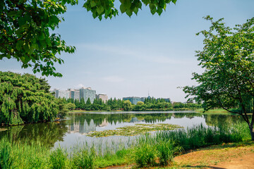 Wall Mural - Ilsan Lake Park and modern buildings in Goyang, Korea