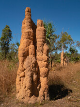 Cathedral Termite Mound