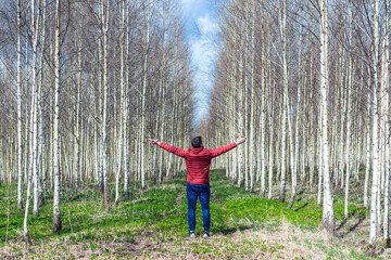 Men tourist with her arms outstretched in birch forest.Rear view.