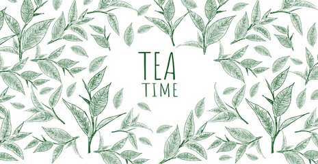 Vector background with green tea. Hand drawn.	