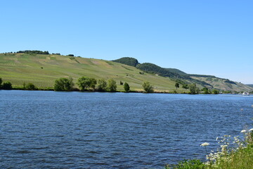 Poster - Mintheim an der Mosel mit Campingplatz